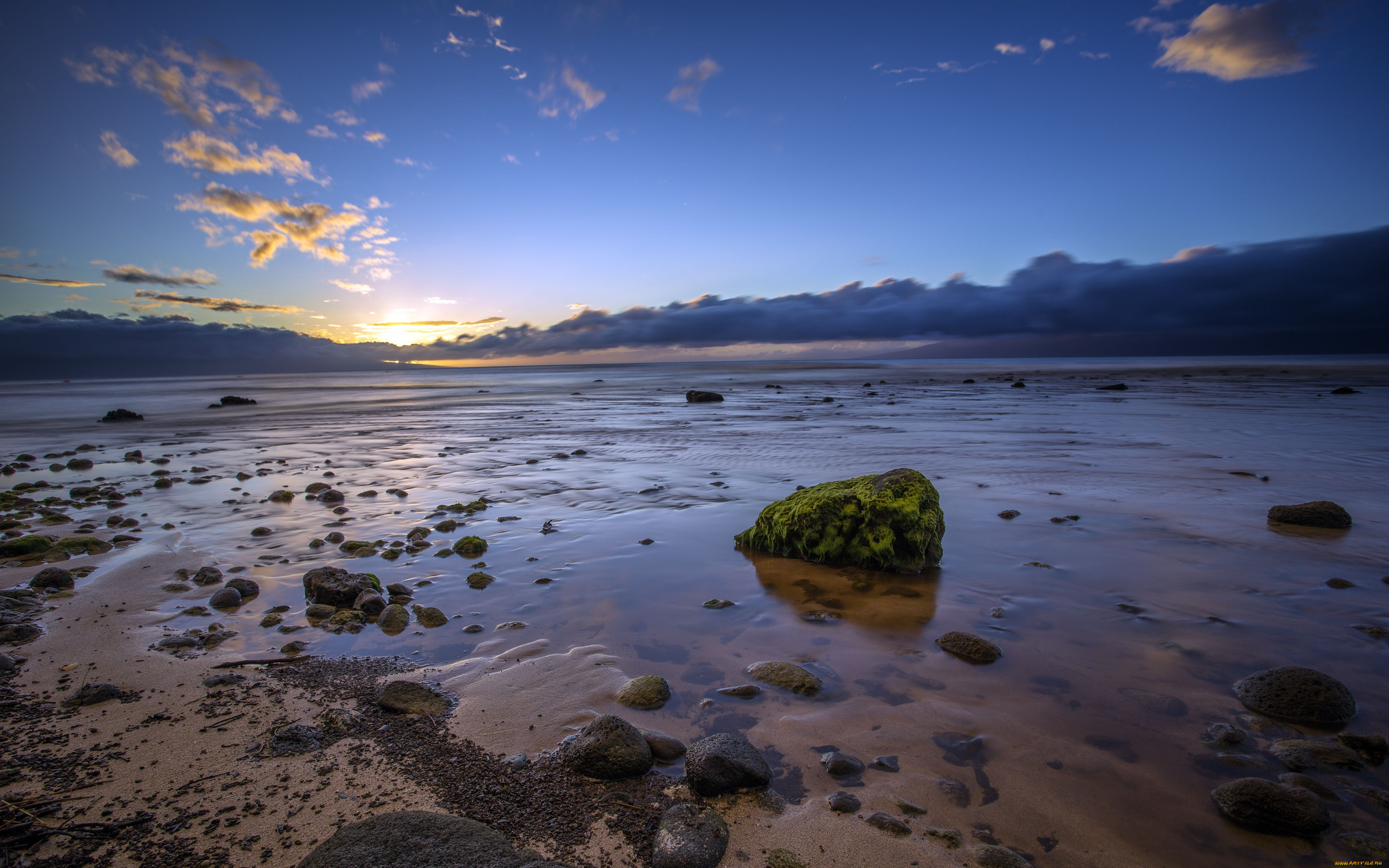 , , , , hawaii, maui